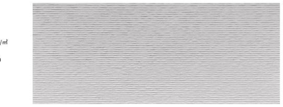 Cut stone BW100