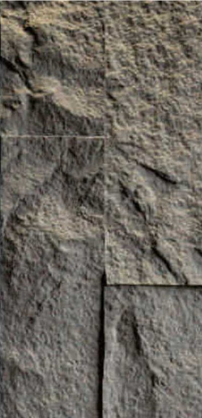 7B