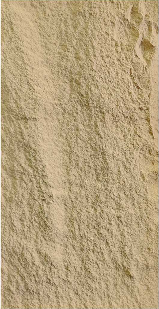 Golden Hemp