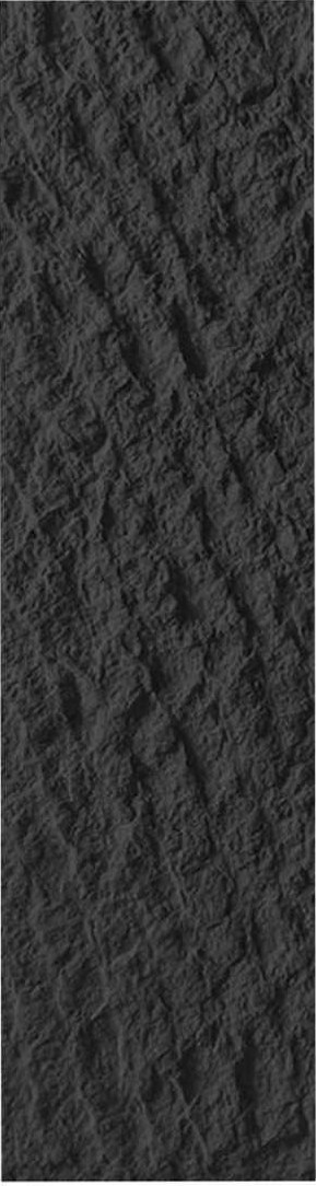Deep Black