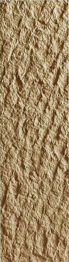 Golden Hemp