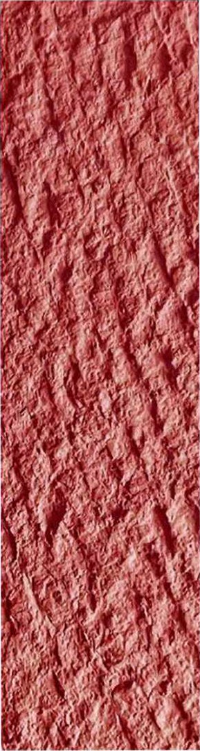 China Red