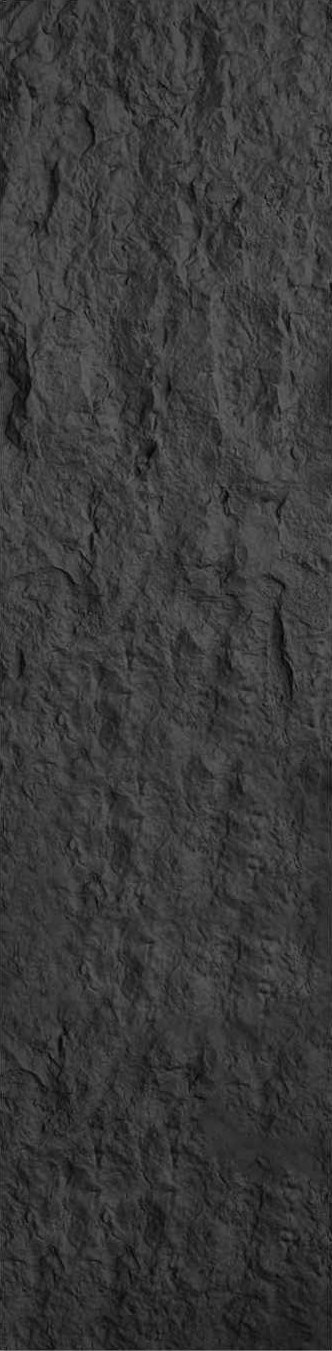 Deep Black
