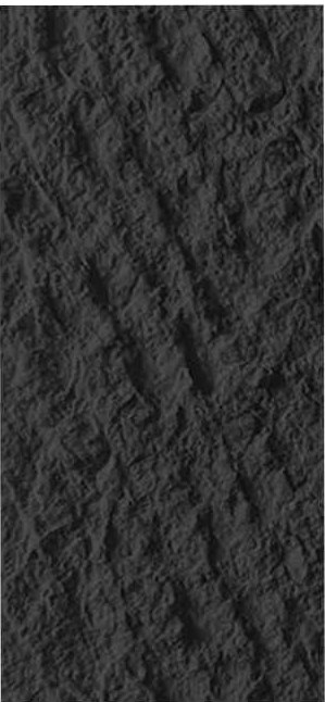 Deep Black